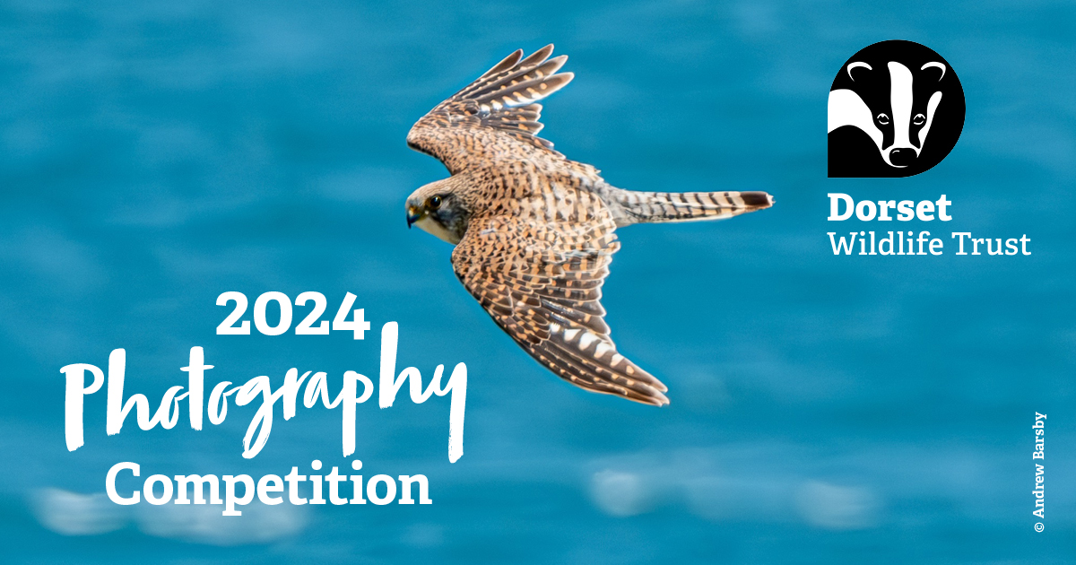 Enter the 2024 photography competition for a chance to win some top prizes, including an Original Mini Recycled Backpack from the wonderful @BluePandaTee. 🎒 Visit our webpage for more competition details and how to enter 👉 bit.ly/3y2vgrR ~ Jack