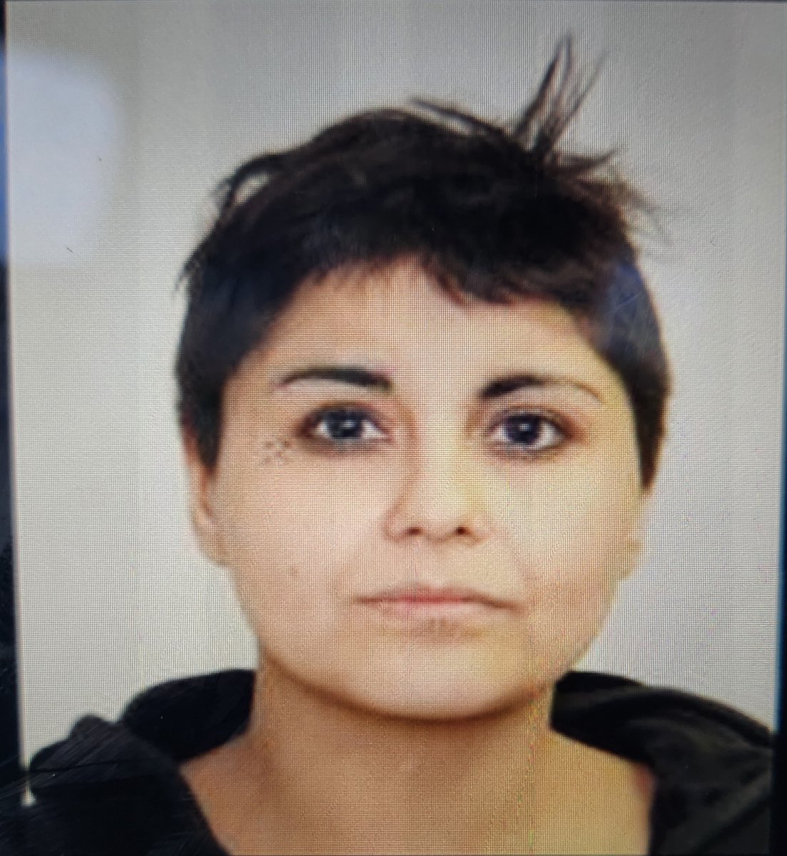Missing woman in #BuffaloLake, AB: Candace Mineault (35 y/o) was last seen April 25. RCMP say she has ties to #ymm #GPAB and goes by Minnow or Candy. She's 5'7, 161 lbs, has brown hair and brown eyes. Was wearing white shirt, black pants, gray running shoes, w/pink suitcase.
