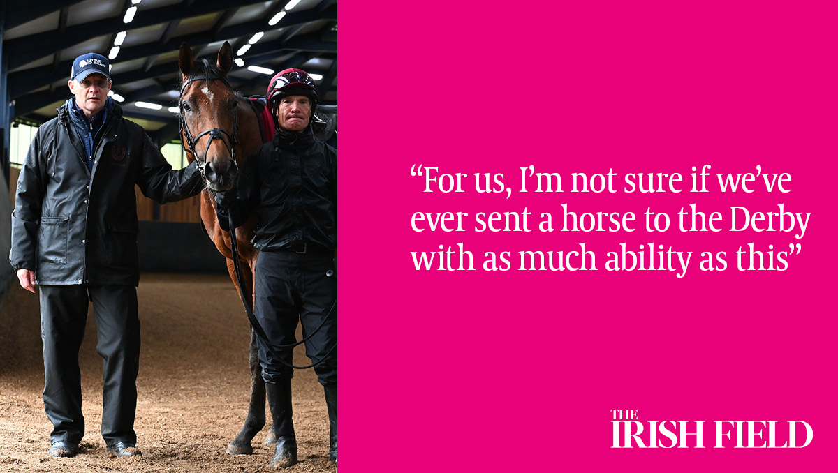 This weekend in The Irish Field, Aidan O’Brien discusses his Derby contenders and why he still believes in City Of Troy eu1.hubs.ly/H0980Xl0
