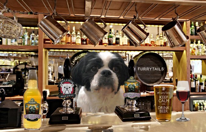 Good evening im your barktender here at #furrytails for the next few hours 😊🤗