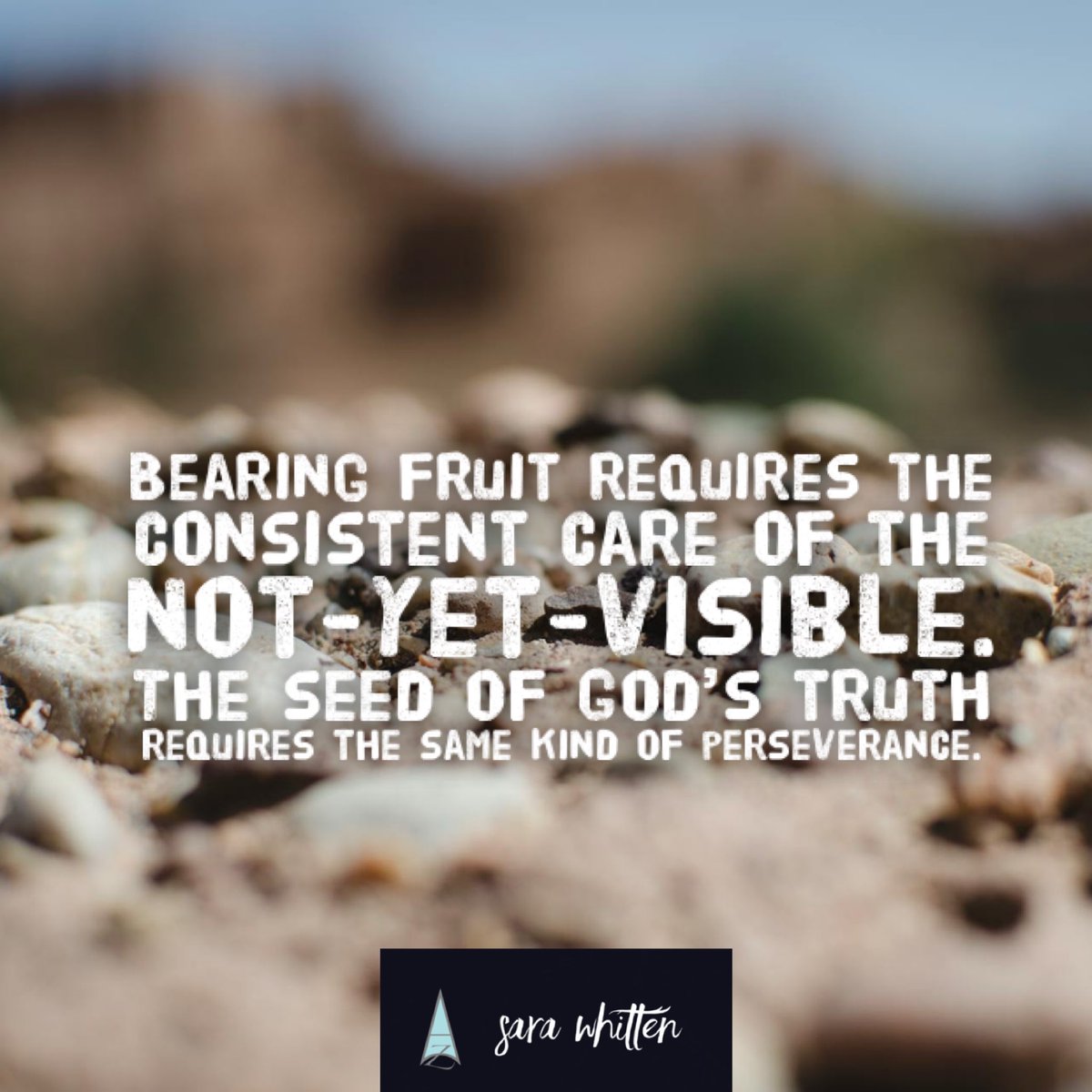 #perseverence #seedsoftruth #Godsword #hearGod #inthewaiting #sarawhitten