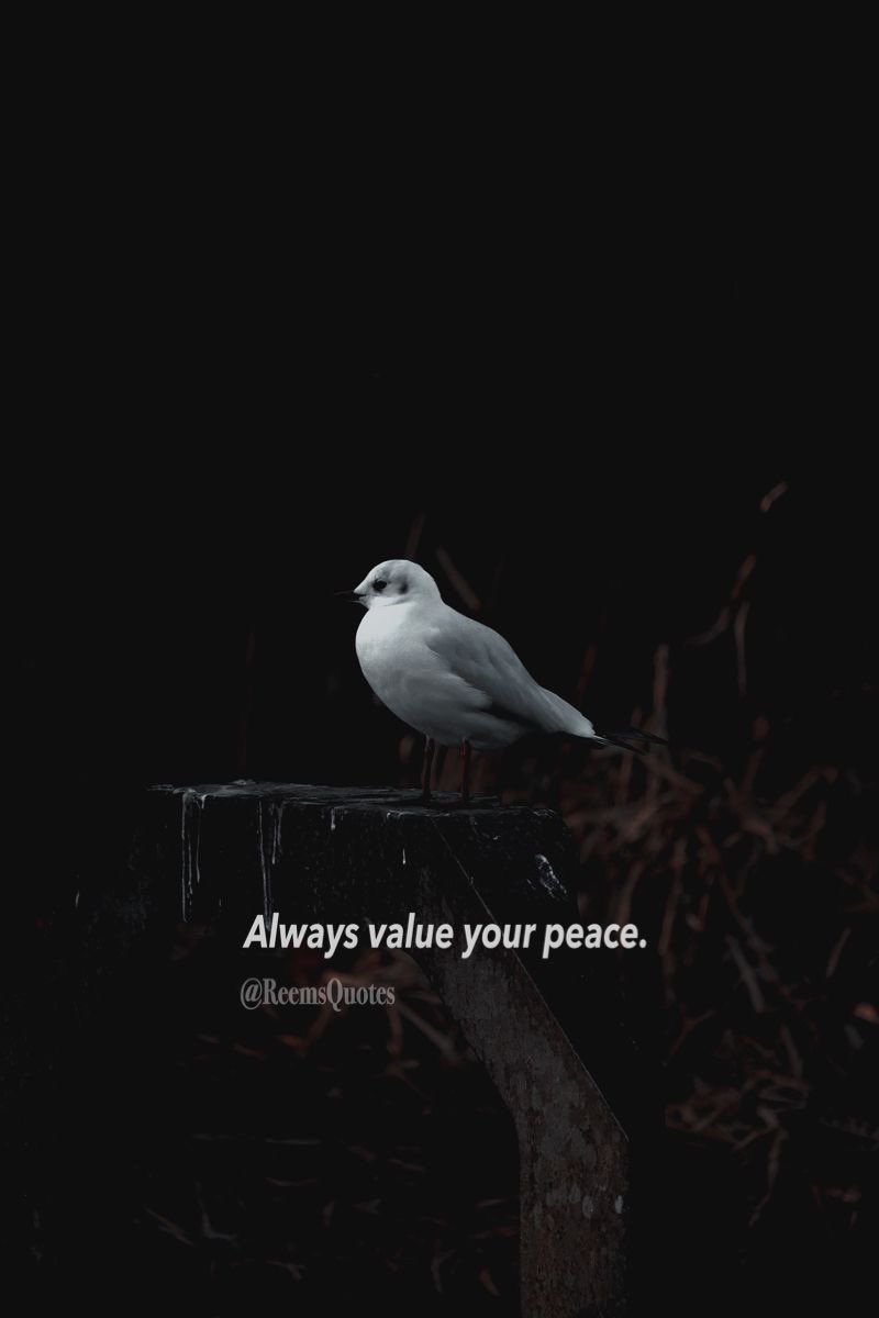 قدّر سلامك دائماً.