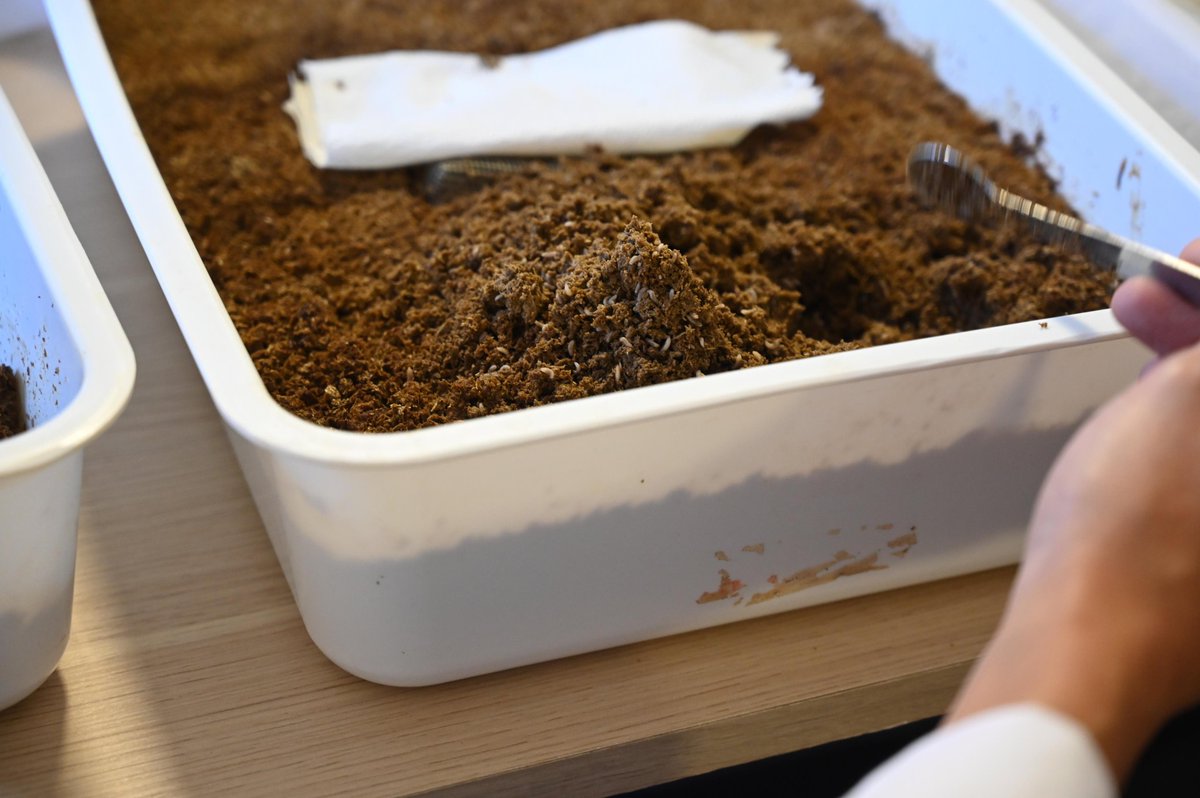 Recorrimos <a href="/Mosquitafeed/">Mosquita Feed</a>, una bioindustria rosarina que convierte materiales orgánicos y subproductos de poco valor en productos sostenibles, bioseguros, de alto valor e impacto para la alimentación y agroindustria, mediante la introducción de insectos. Apoyar a la ciencia es