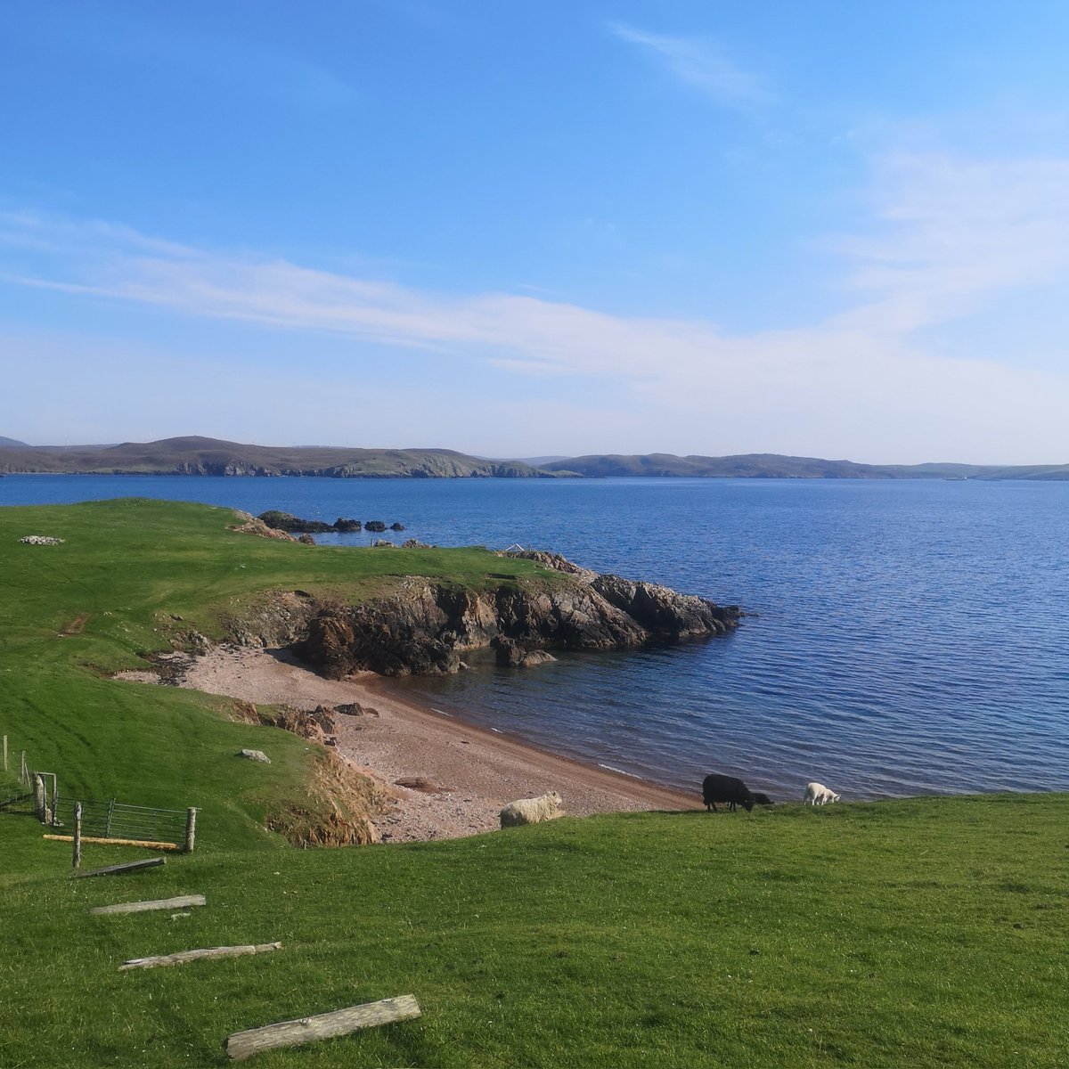What a day! Really appreciated a #seaswim in the sun to end the week #shetland #studybreak #mentalwellbeing