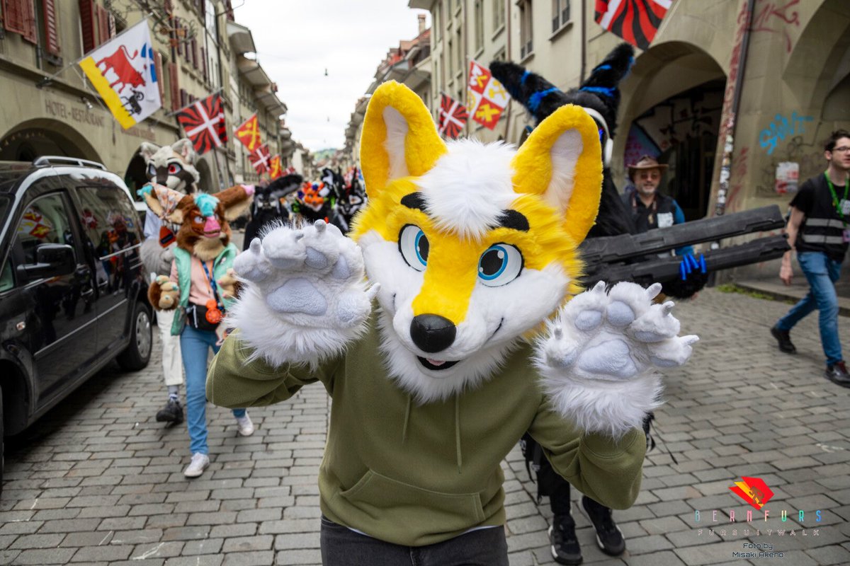 Rawrr!! 🐺 📸 @misakiAkenoY467 🪡 @LorfyTheFox