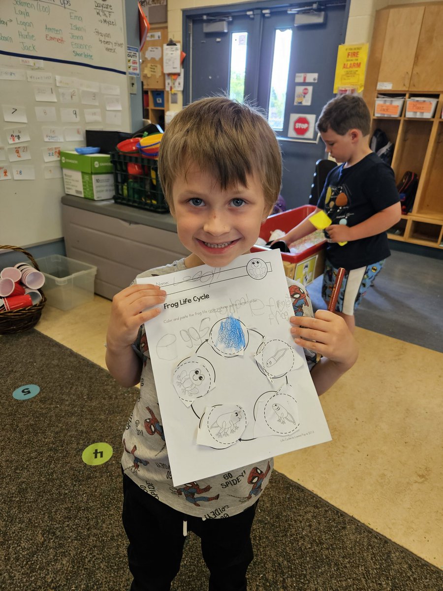 Mrs. Mailloux (@magsmailloux) on Twitter photo We have been busy learning about the life cycles of living things 🐸🦋🐛
<a href="/Glade_Gators/">ForestGladeGators</a> <a href="/MsAwender/">Ms Awender</a> We have been busy learning about the life cycles of living things 🐸🦋🐛
<a href="/Glade_Gators/">ForestGladeGators</a> <a href="/MsAwender/">Ms Awender</a>