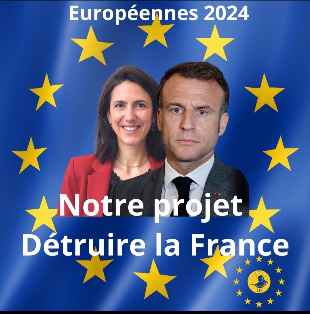 @ShannonSeban @BesoindEurope @Renaissance @SachaHoulie @ValerieHayer @steph_sejourne @JeunesMacron86 C'est votre projet 👇