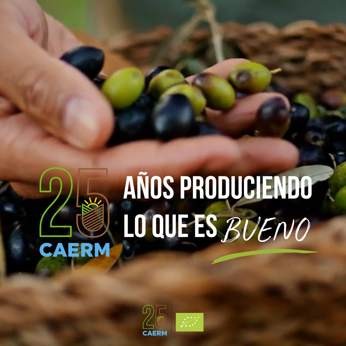 Ser Eco también es apoyar a los cultivos ecológicos de la Región y al @caermurcia en su nominación a mejor campaña de marketing. Puedes votar por ellos seleccionándolos en esta web: organicfoodiberia.com/retail-awards-…