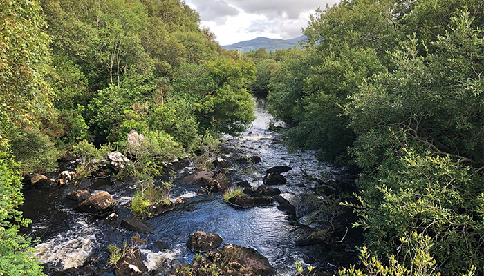 The Woodland for Water event will take place in Teagasc Moorepark on Wednesday 29, May. It will highlight the range of water-related ecosystem services provided by the establishment in 2023 of almost three hectares of new native woodland bit.ly/3K7nUpQ @teagascforestry