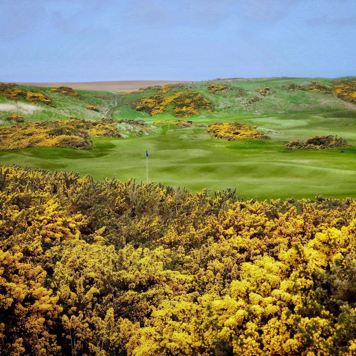 Stewart Paul (@stewartpaul1) on Twitter photo The azaleas at Augusta National are ever so pretty while the gorse at Cruden Bay is ever so prickly. You pays your money and you make your choice as to which you prefer. 🤷🏽♂️🤔😂 <a href="/Crudenbaygolf/">Cruden Bay Golf Club</a> <a href="/DunesCrudenBay/">The Dunes, Cruden Bay</a> <a href="/HavershamBaker/">Haversham & Baker</a> #aimeesmithstudios The azaleas at Augusta National are ever so pretty while the gorse at Cruden Bay is ever so prickly. You pays your money and you make your choice as to which you prefer. 🤷🏽♂️🤔😂 <a href="/Crudenbaygolf/">Cruden Bay Golf Club</a> <a href="/DunesCrudenBay/">The Dunes, Cruden Bay</a> <a href="/HavershamBaker/">Haversham & Baker</a> #aimeesmithstudios