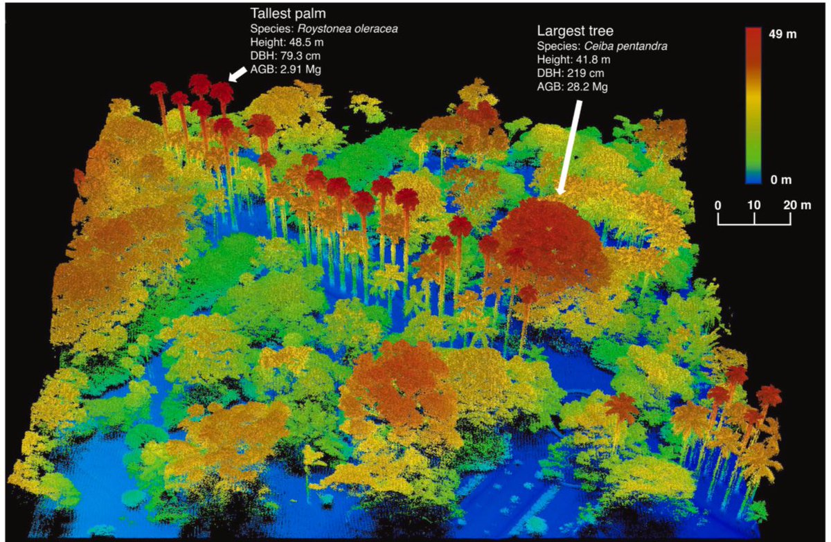 Urban forests help mitigate climate change by sequestering carbon in their aboveground biomass (AGB). Our paper shows the potential of UAV-borne #hyperspectral and #LiDAR data to estimate AGB of urban trees. Check it out:

authors.elsevier.com/a/1j6Cr5m5d81T…