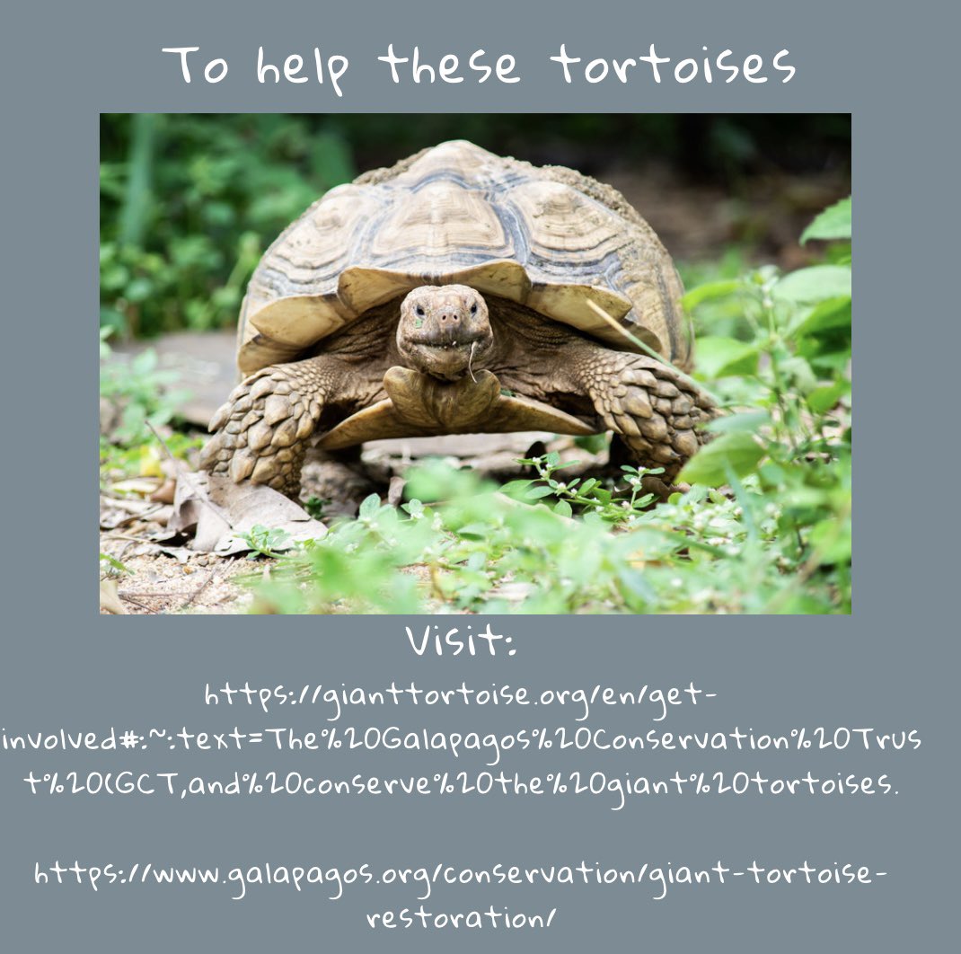 Becton Environmental Club tweet media