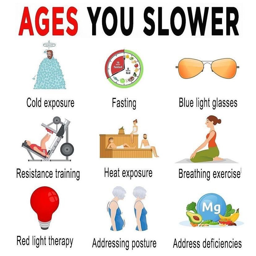 🧬 AGING FAST VS. SLOW

🧠 Now, I know some people will say this is genetics, but I would argue that epigenetics are where it matters.

💡 Epigenetics, simply put, is the process of turning on and off certain gene expressions based on your lifestyle.

💪 Meaning that you are