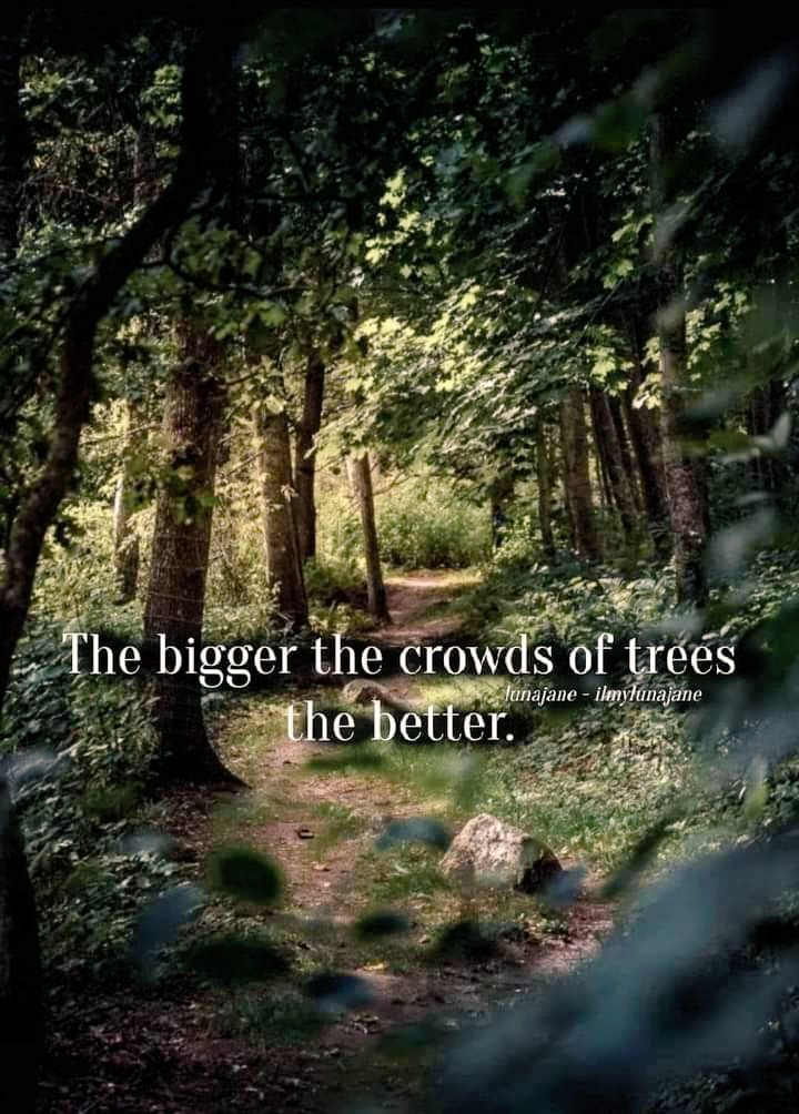 Trees are symbols of strength, individuality, expression, calmness, growth, and the interconnectedness of everything. I am grateful and thankful for every trees' spirit, love and breath.