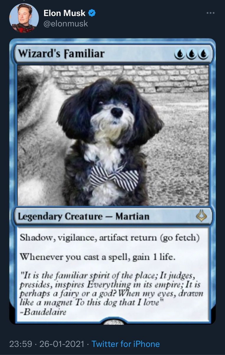 marvindogbase's tweet image. $MARVIN THE MARTIAN ELON MUSK'S BELOVED DOG

#MARVINTHEMARTIAN #ELONMUSK #SPACEX