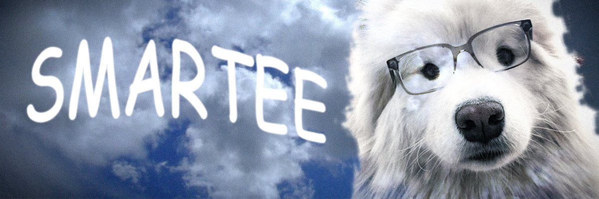 smarteeonsol's tweet photo. the banner for dex :D https://t.co/VpwQyWlL5K
