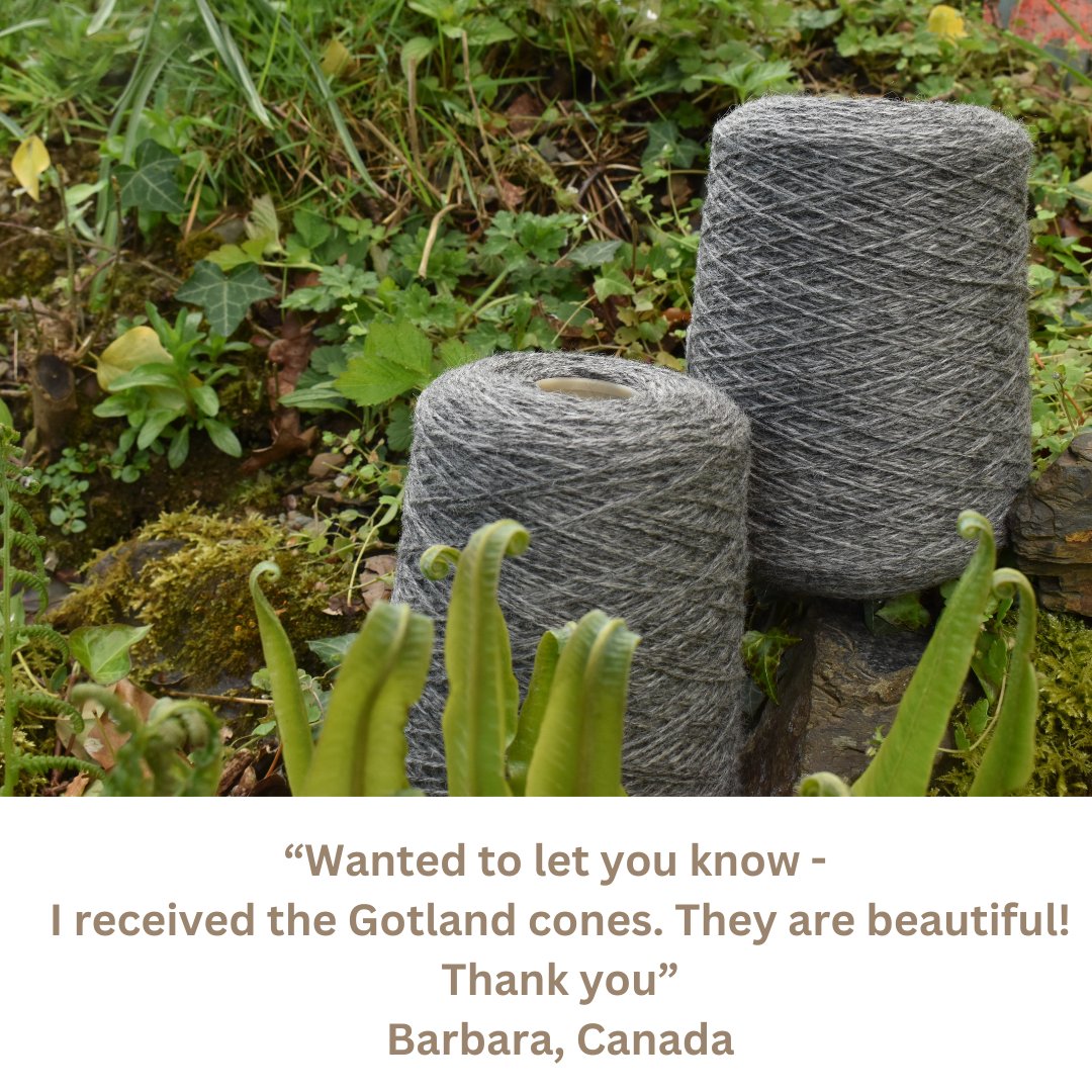 Our new Wool on Cone ranges are proving very popular! Thank you to Barbara in Canada for her wonderful review of our Gotland cones.
blackeryarns.co.uk/pure-gotland/
#blackeryarns #wooloncone #knitting #knitters #handknitters #handknitting #britishmade #internationalservice