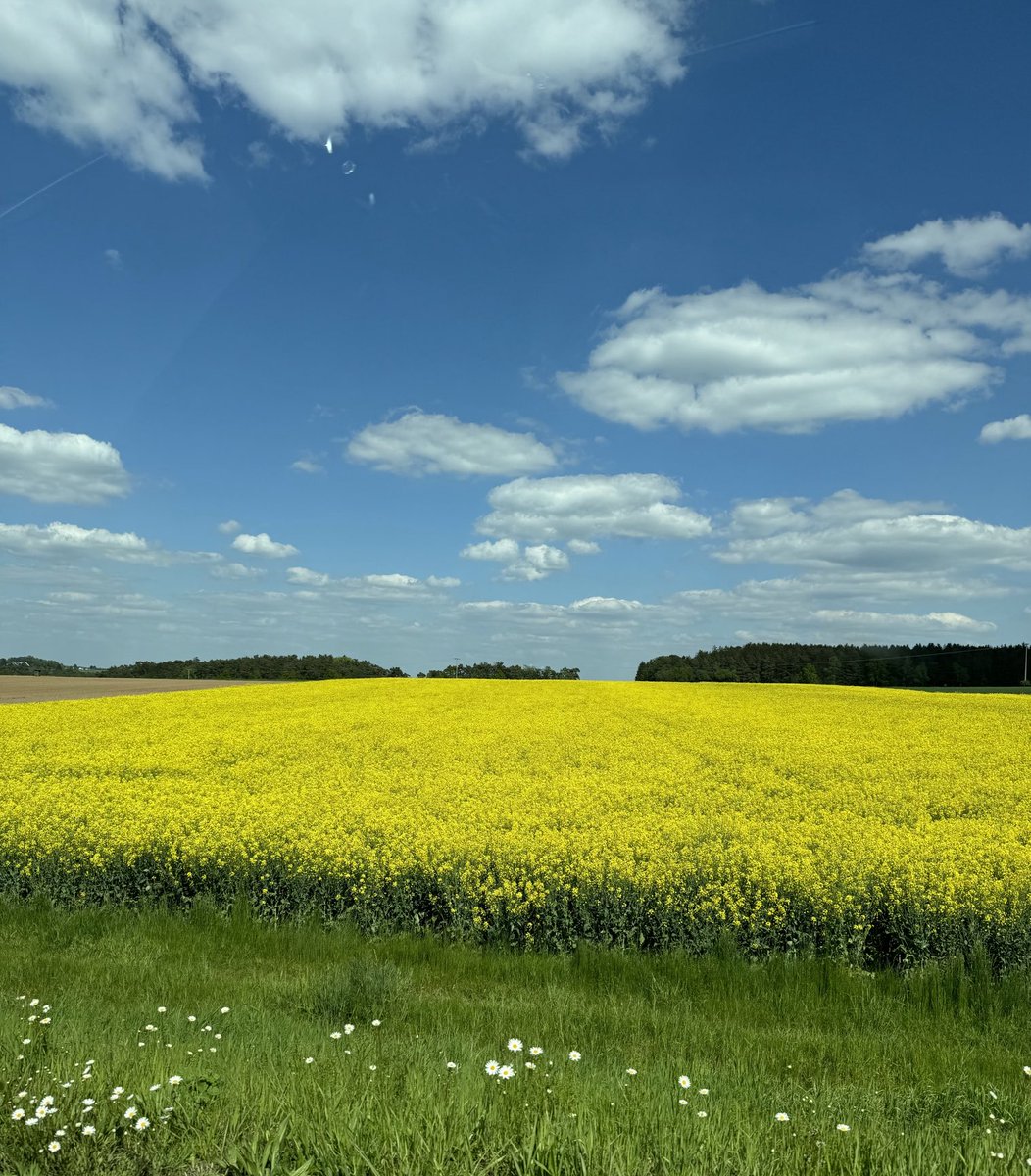 Ein Traum, ein Traum ist unser Leben
auf Erden hier.
Wie Schatten auf den Wogen schweben
und schwinden wir,
und messen unsre trägen Tritte
nach Raum und Zeit;
und sind (und wissen's nicht) in Mitte
der Ewigkeit.

- Johann Gottfried Herder