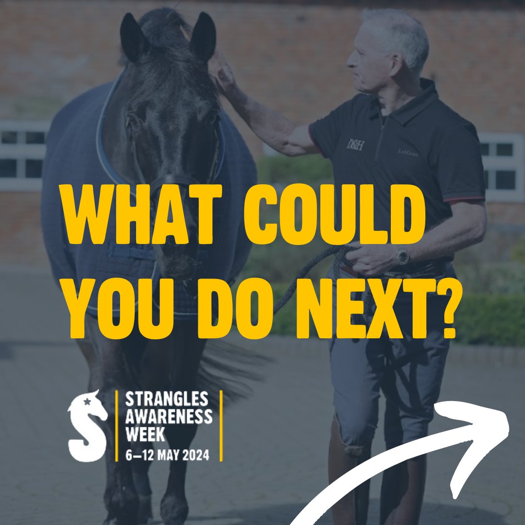 StranglesWeek's tweet image. PROTECT YOUR HORSE IN 4 EASY STEPS🐴✨

 While Strangles Awareness Week may have come to a close, the importance of staying vigilant against this illness remains constant all year round.  

#SAW2024 #StranglesAwarenessWeek