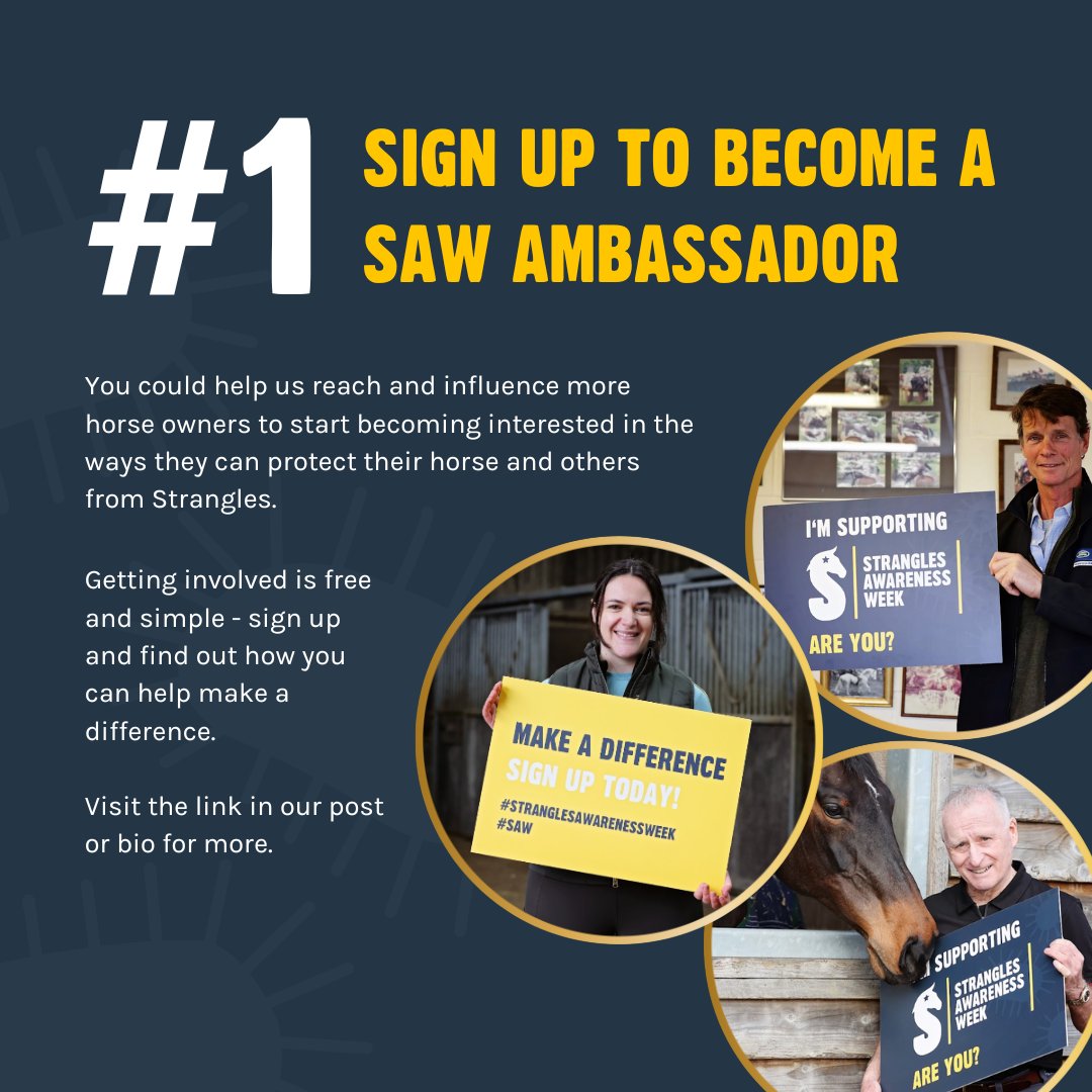 StranglesWeek's tweet image. PROTECT YOUR HORSE IN 4 EASY STEPS🐴✨

 While Strangles Awareness Week may have come to a close, the importance of staying vigilant against this illness remains constant all year round.  

#SAW2024 #StranglesAwarenessWeek