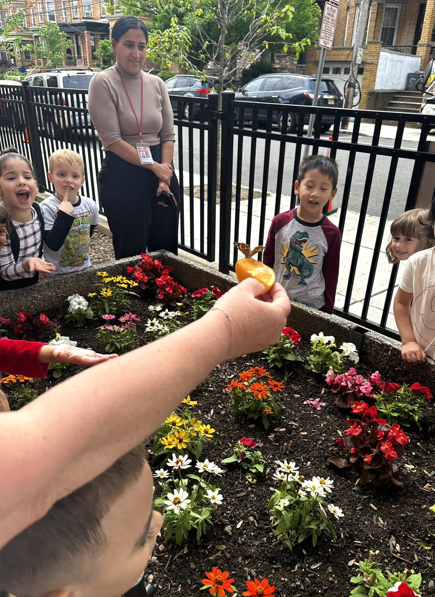 Ms. Ferrante tweet media