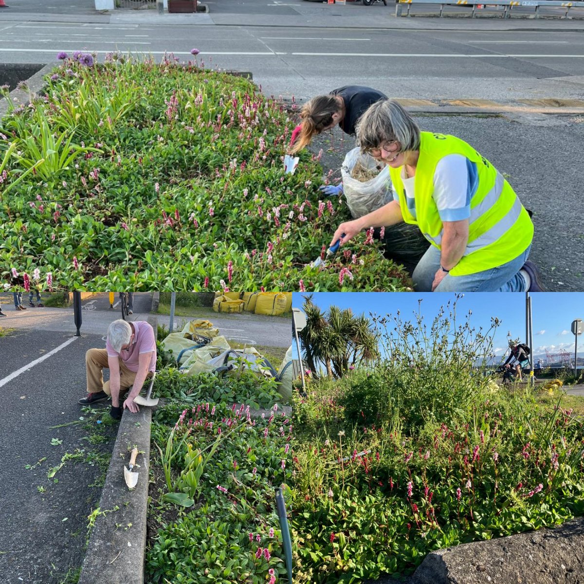 Great work from our Midweek Meetup on Wednesday. Our #TidyTowns volunteers are out again tomorrow morning. Why not join them to help #KeepClontarfTidy.