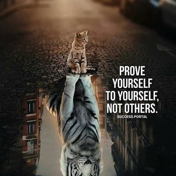 👑 The only approval you need is your own.Believe in your potential, not in others' perceptions.#SelfApproval #Confidence