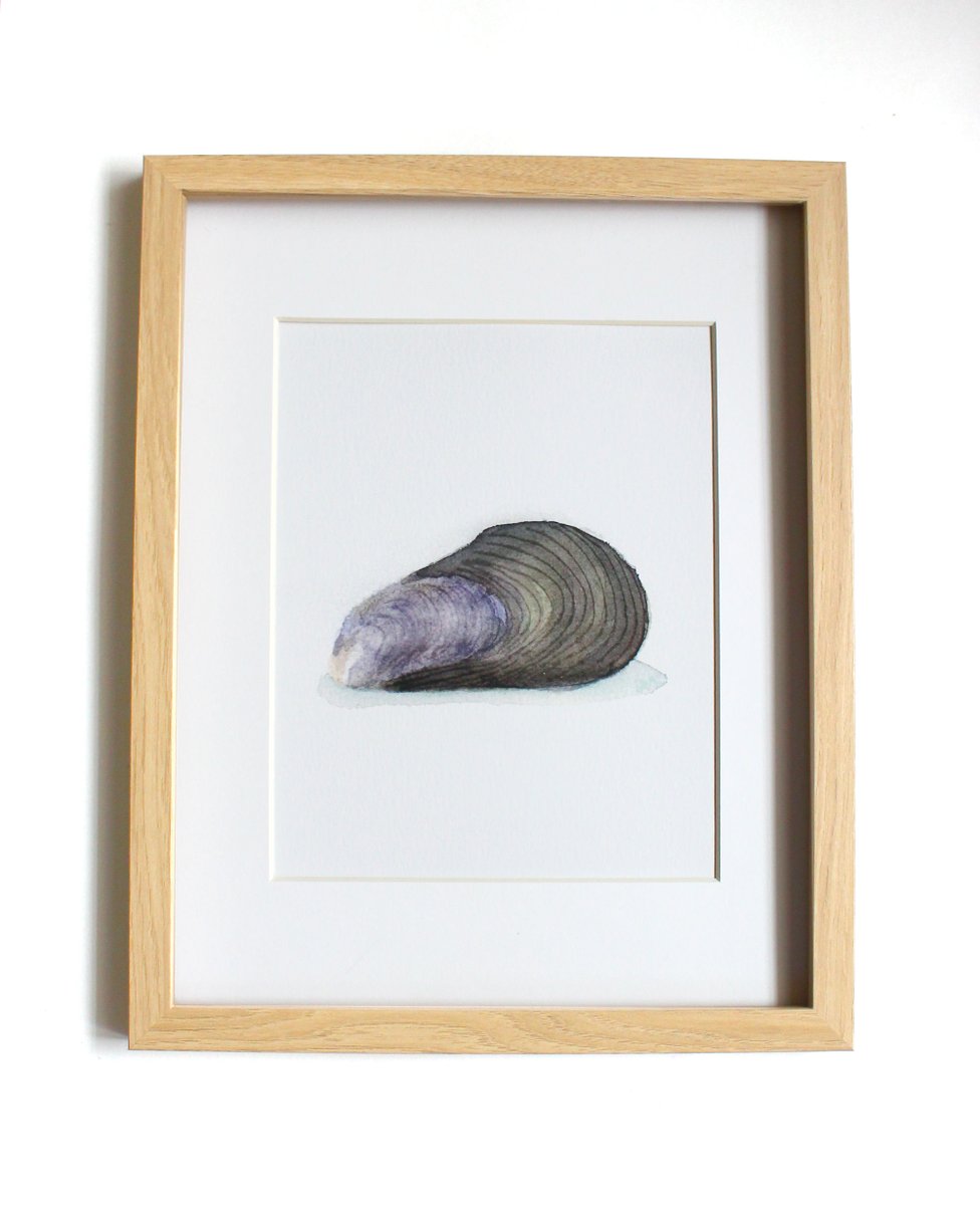 Mussel Watercolor Art Print
#minimal #watercolor #artprint #homedecor #officedecor #beachart #mussel #seashell #beachdecor #wallart #SMILEtt23 #shopsmall #supportsmallbusiness

goimagine.com/mussel-seashel…