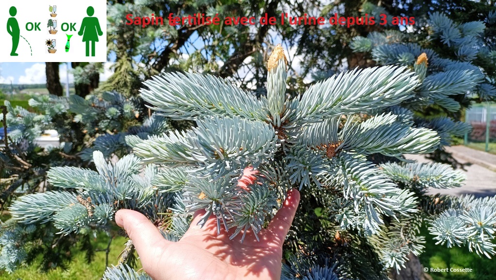 SolarDripper's tweet image. Picture of the day, Photo du jour.  #urine #fertiliser #watersaving