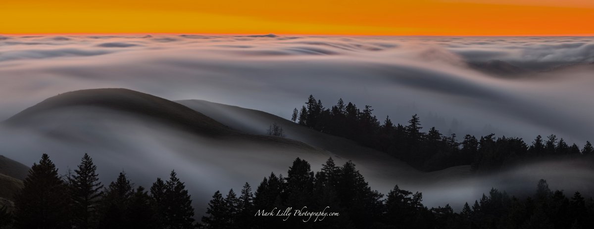 #Fog flowing over the Coastal Range via #MountTamalpais

www.marklillyphotography
IG: @marklillyphotography

#Zeiss @ZEISSLenses #NikonNoFilter #Nikon @NikonUSA @BillMartinKTVU @RobMayeda @VisitCA @VisitMarin @WestMarinFeed @MarinMagazine @CAStateParks