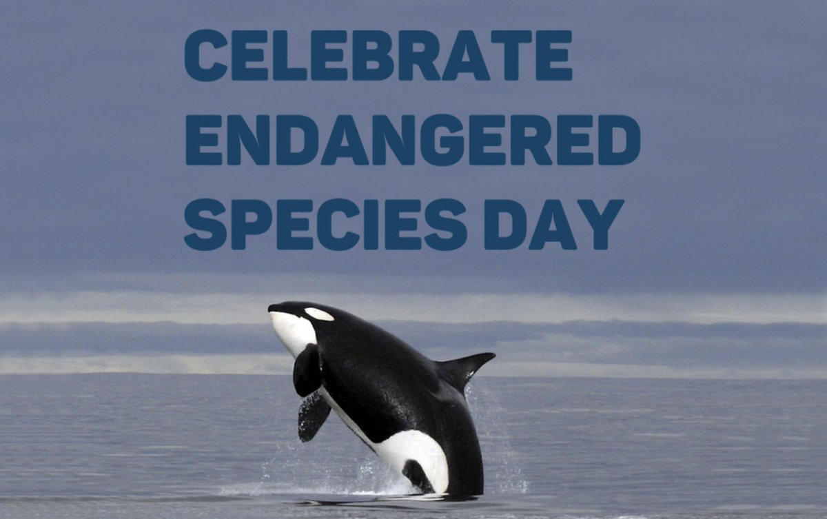 This #EndangeredSpeciesDay we are celebrating the success of the Endangered Species Act in protecting our most vulnerable plant and animal species. Protecting wildlife now and for future generations is critical for the health of our planet and all its inhabitants. #StopExtinction