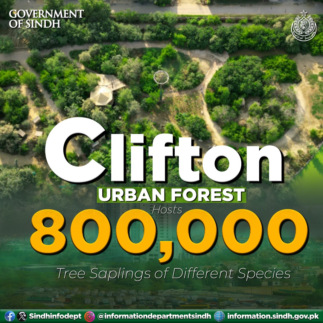 The Clifton Urban Forest by the Sindh Government is a vital initiative protecting #Karachi from climate change. It's building resilience and preserving our ecosystem for future generations. Kudos to this green effort! #Climatechange #UrbanForest #SindhGovernment