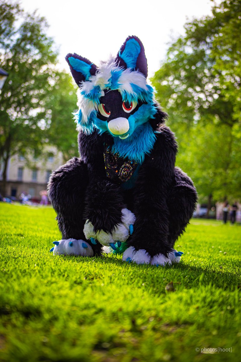 Meet Muddy! The dumbass folf debuting her new fullsuit 🦊✨ #FursuitFriday 

Ft. @MuddyTheSmall 🦊