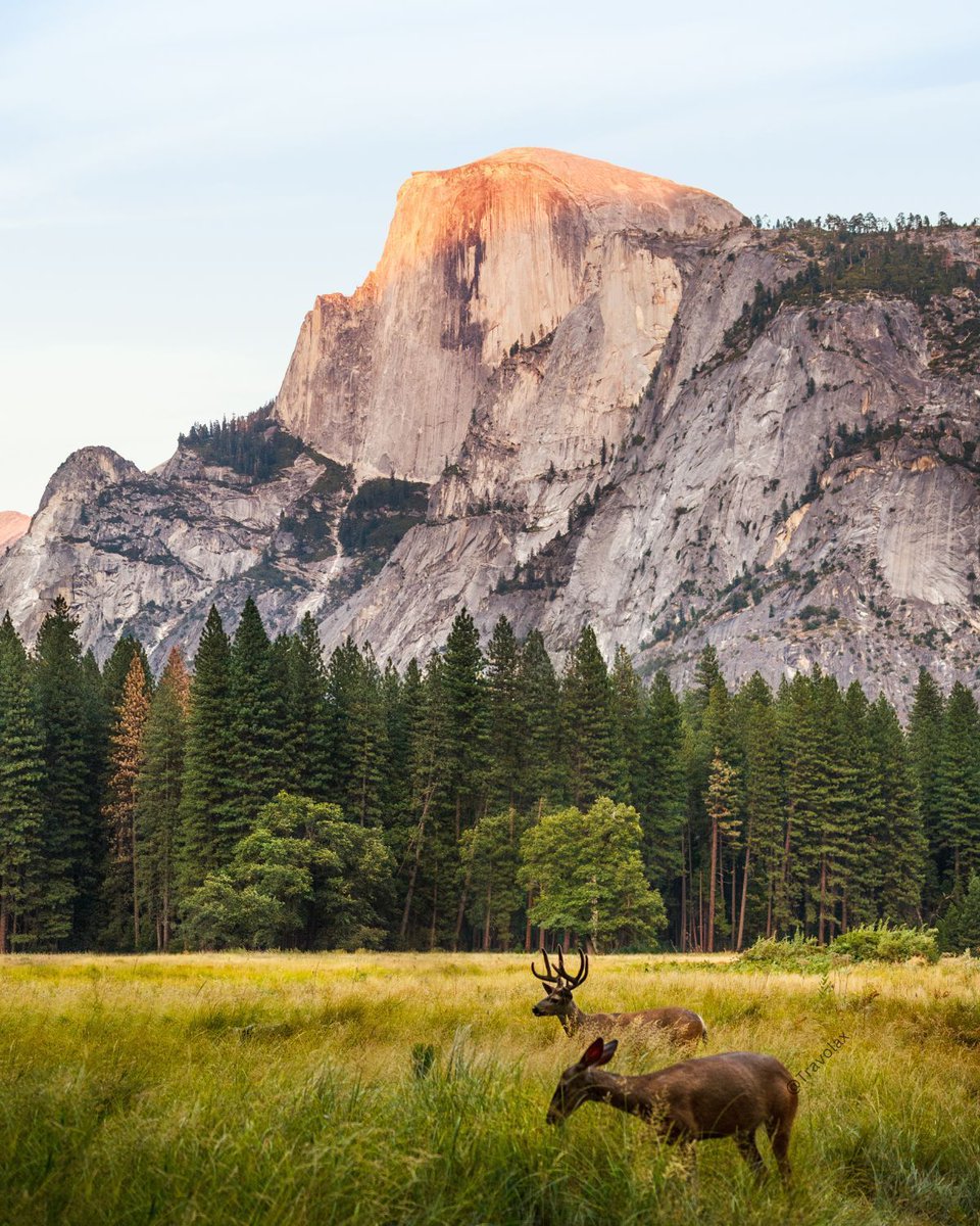 Yosemite National Park, USA 🇺🇸