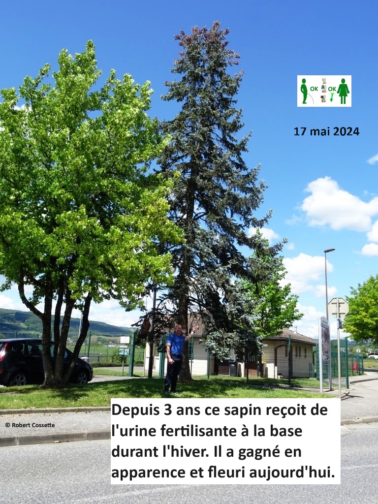 SolarDripper's tweet image. Picture of the day, Photo du jour.  #urine #fertiliser #watersaving