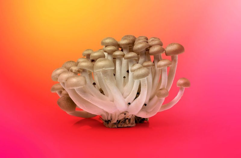 .<a href="/kaspersky/">Kaspersky</a> experts found a critical vulnerability, CVE-2024-4947, in the Chrome V8 engine, exploited in targeted attacks. In response, #Google released an update for Chrome to version 125.0.6422.60/.61 for #Windows &amp; 125.0.6422.60 for #Linux. bit.ly/44OgOjJ