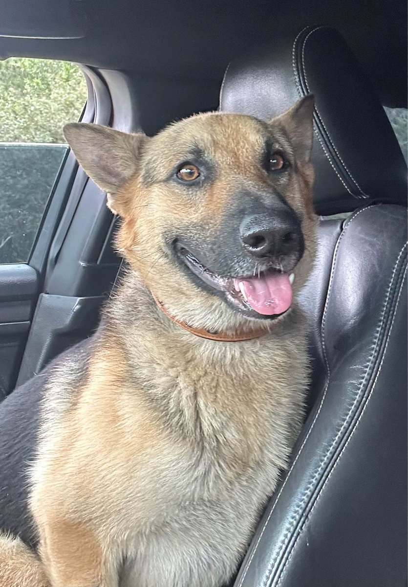 LOST DOG REUNITED WITH HIS FAMILY!

Yesterday, Deputy Oleynikov located a lost dog in the 11500 block of Canyon Trail Drive.

Today, Voodoo was reunited with his family. #goodboy 

Thanks to all for sharing.