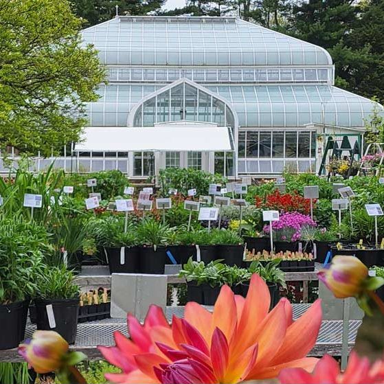 The Friends of Lasdon Park Arboretum Annual Plant Sale is Saturday, May 18 from 9 a.m. to 4 p.m. and on Sunday, May 19 from 11 a.m. to 3:30 p.m., rain or shine. Plants include: 🌿native plants 🪴 shrubs 🌳 trees 🥕vegetables and more! Details: ow.ly/hcEJ50RK7fZ