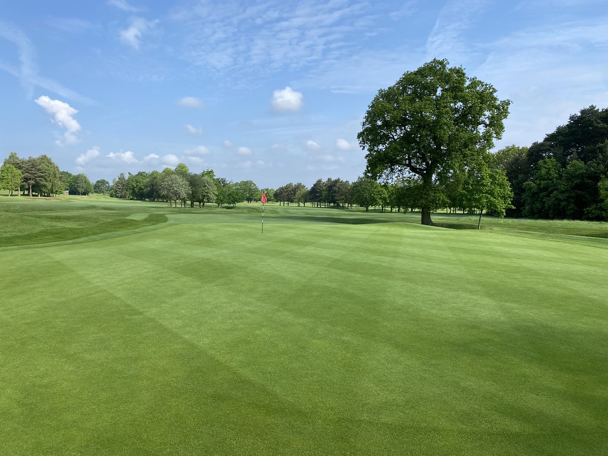 Matt Dobbs (@dob8sy) on Twitter photo <a href="/rob_2k_uk/">Rob Anderson</a> <a href="/RingwayGolfClub/">Ringway Golf Club</a> Thanks mate for the kind comments. I will look out for any that I see😂😂
Course is coming on nicely. Greens will continue to improve further 👍👍 <a href="/rob_2k_uk/">Rob Anderson</a> <a href="/RingwayGolfClub/">Ringway Golf Club</a> Thanks mate for the kind comments. I will look out for any that I see😂😂
Course is coming on nicely. Greens will continue to improve further 👍👍
