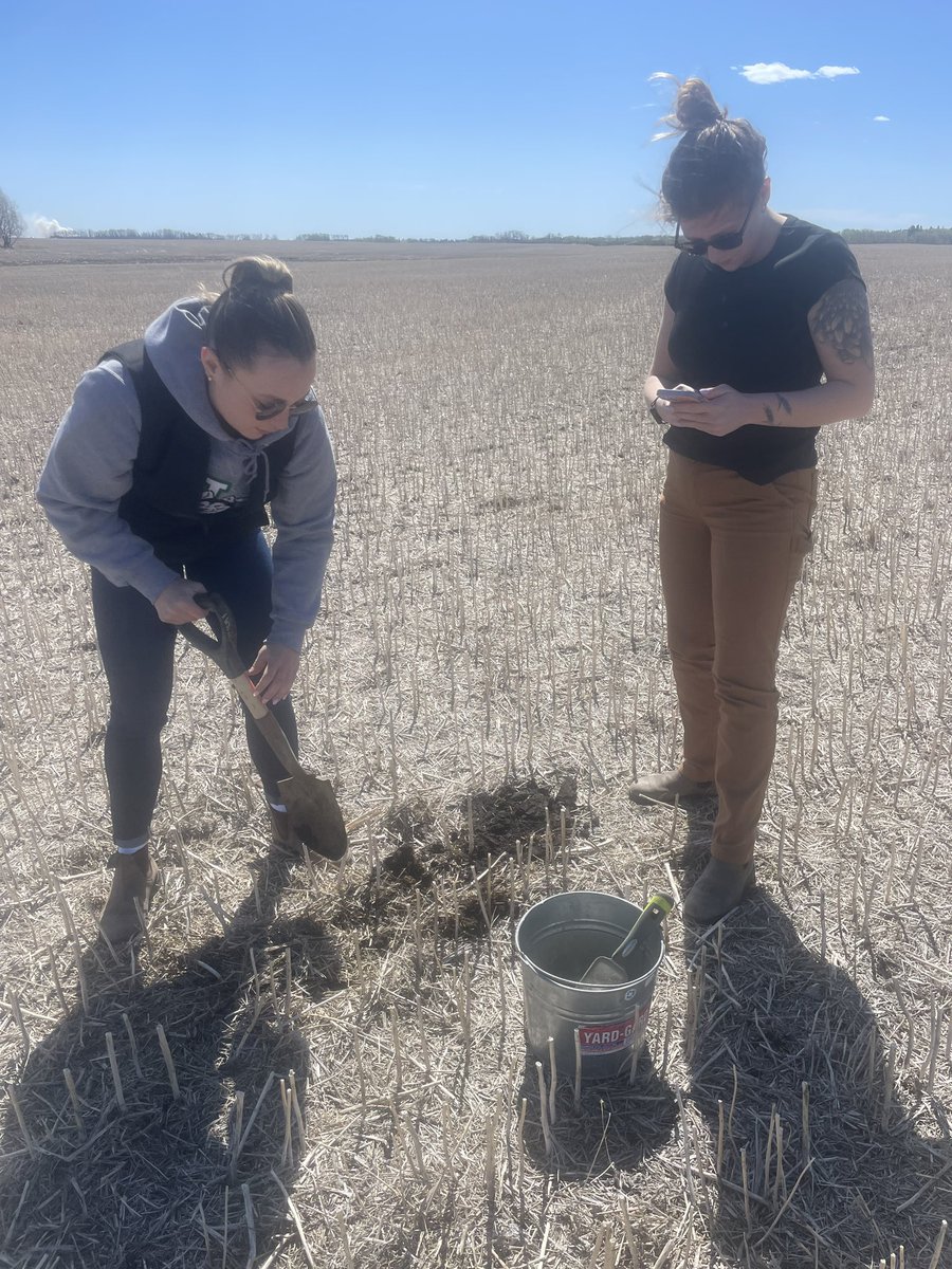 Before a Rancona®Trio and Belmont® trial, soil sampling occurs in spring to test for presence of aphanomyces in soil. 

12 sample locations were sampled &amp; submitted May 9 to a certified lab. GPS was used to mark the test locations. Today we get to see the results!

#OpenAg