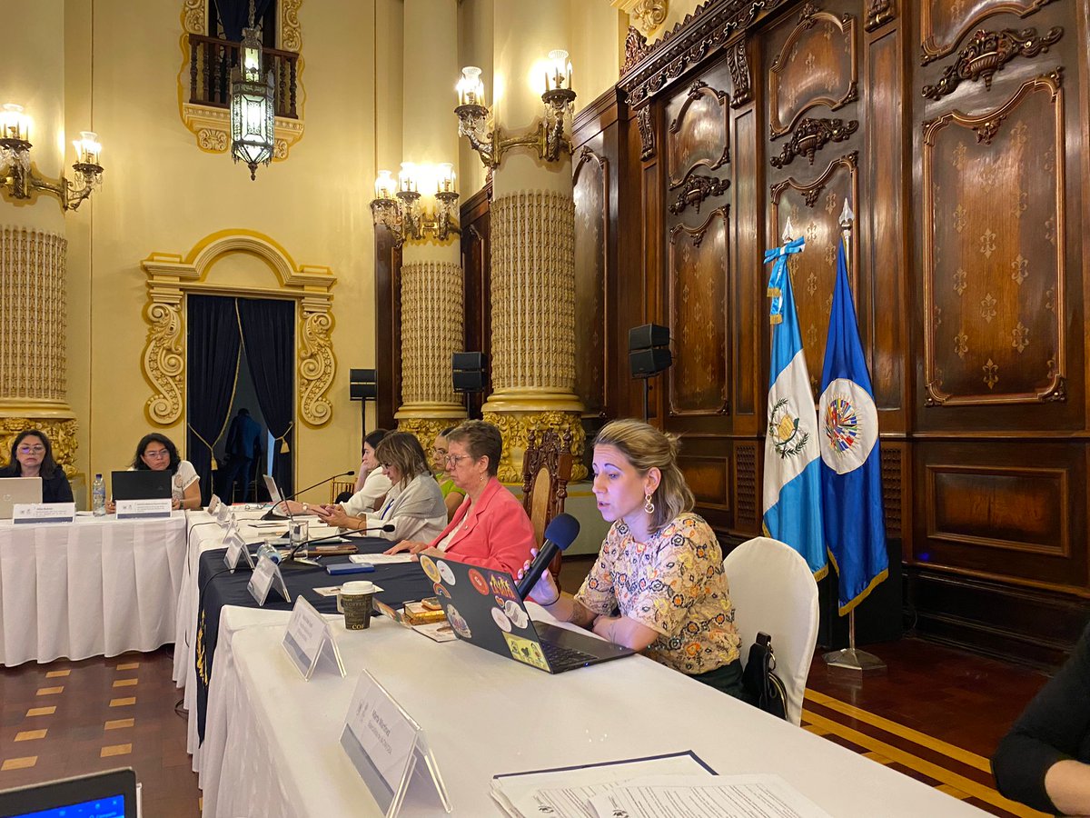 Hoy, se reflexiona sobre la paridad en el ámbito internacional, sobre cómo asegurar la paridad con una mirada intercultural, sobre las interpretaciones de los tribunales electorales y las medidas y mecanismos para alcanzar la paridad en el poder ejecutivo.