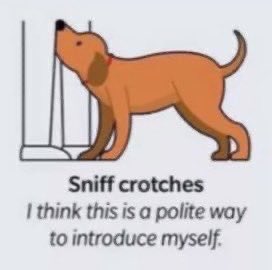 onlybarks's tweet photo. I think this a polite way to introduce myself :3

🩲: @BigRackHaver 🥰 https://t.co/XILj7ODfky
