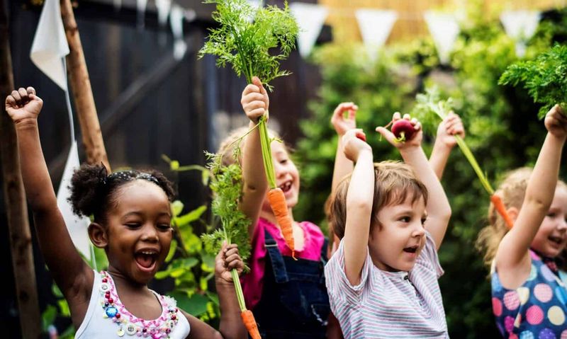 🌱🍽️ 🍎Cultivating healthy futures starts with our kids, empowering our youth with nutrition education and farm-to-school programs is key!
Dive into how these initiatives are transforming schools here..👇

#FeedAmerica #HealthyEating #NutritionEducation #FarmToSchool