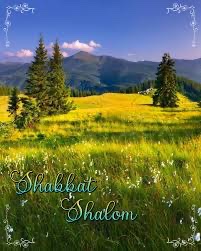 Shabbat Shalom everyone