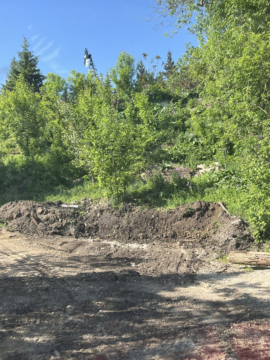 Big work going on at the quivs compound 

- Pulled as many dead trees from the woods as possible
- Remodeling the firing range 
-Graded the entire floor 

Moving mountains over here 💪