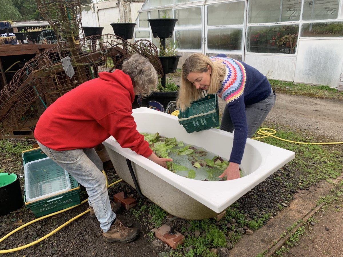 Fiona Lamdin (@fionalamdin) on Twitter photo Cardiff’s salad garden on <a href="/BBCBreakfast/">BBC Breakfast</a> growing veg in public spaces - anyone can volunteer & take home bags of 🥗 Cardiff’s salad garden on <a href="/BBCBreakfast/">BBC Breakfast</a> growing veg in public spaces - anyone can volunteer & take home bags of 🥗