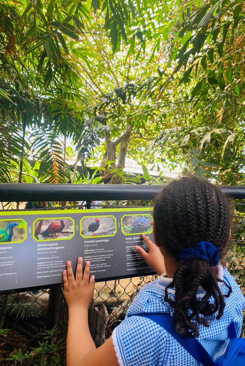 OaktreeThe's tweet photo. Our Year R children are having a wonderful day in the sunshine at Marwell Zoo ☀️even the tiger came to tea and the sloth woke from his sleepy slumber since Tuesday to come out to play 😊🦥🐅🦏🦒 https://t.co/prYXs3UTao