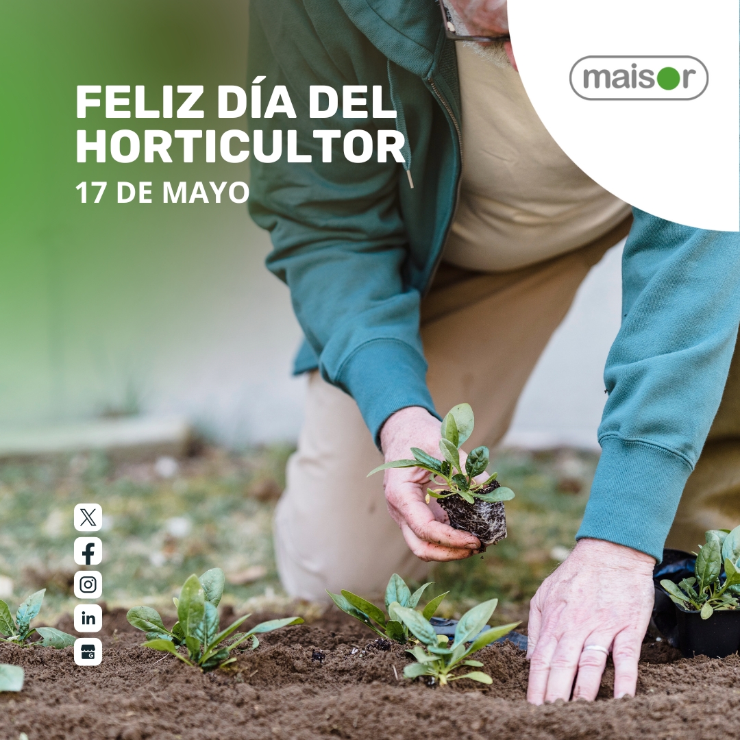 🌱🌿 Feliz Día del Horticultor! 🌿🌱

Hoy celebramos a todas las personas que dedican su tiempo y esfuerzo a cultivar la tierra y a darnos lo mejor de la naturaleza. 🥕🍅🥦🌻👨‍🌾

#DiaDelHorticultor #Horticultura #Cultivando #Agricultura #Naturaleza #AmorPorLaTierra
