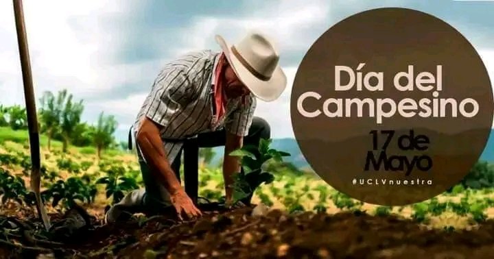 Vivan los Campesinos Cub La Asociación Nacional de Agricultores Pequeños, fundada por el Comandante en Jefe Fidel Castro Ruz, llega este 17 de mayo a su aniversario 65. Para todos los trabajadores de esa Asociación nuestras más sinceras felicitaciones. #Cuba #LaHabanaViveEnMí