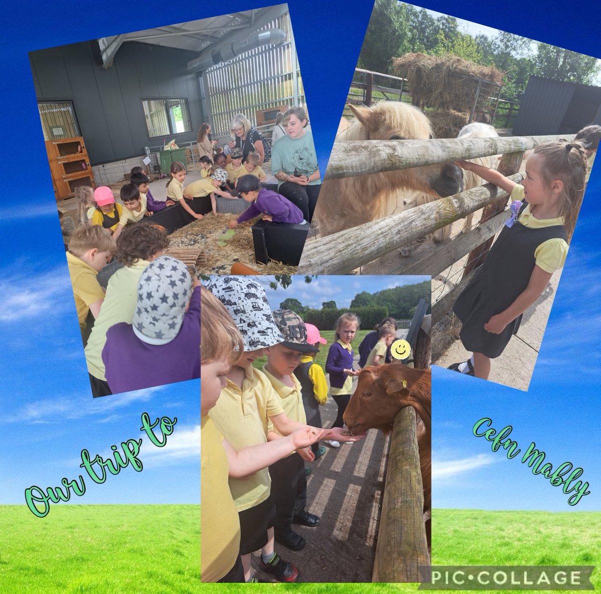 🚜🐴What an fantastic day we had at Cefn Mably Farm.  We had so much fun feeding the animals and we even had a train journey around the farm! 🚜🐴
